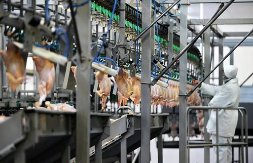萬華助力泰森食品 以專業設計，筑就世界級肉類加工新標桿
